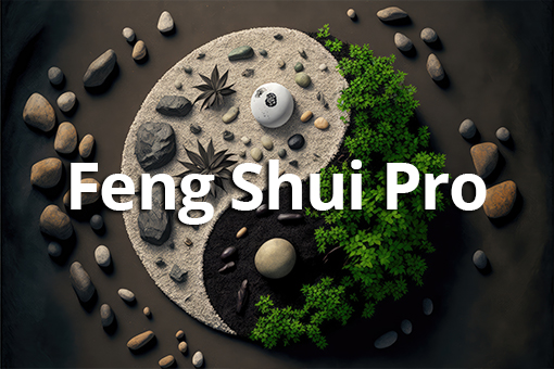 Offre Feng Shui Pro - Clévha
